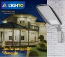 LED Streetlight Penquin