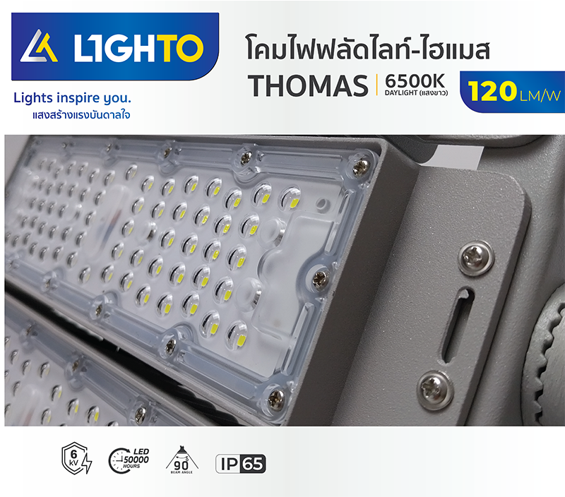 LED Floodlight Thomas