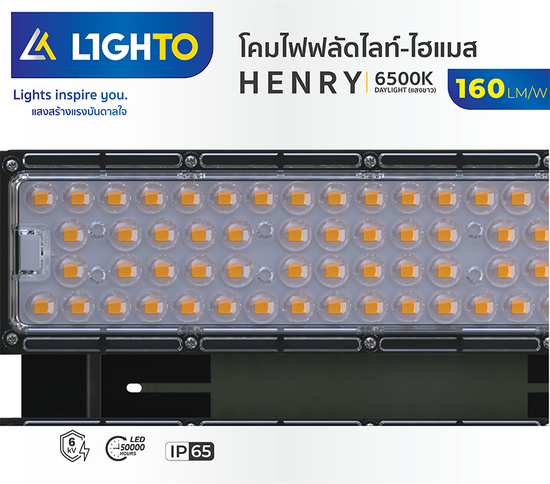 LED Floodlight HENRY