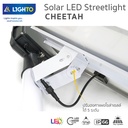 Solar LED Streetlight CHEETAH