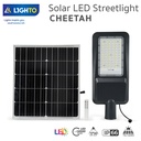 Solar LED Streetlight CHEETAH