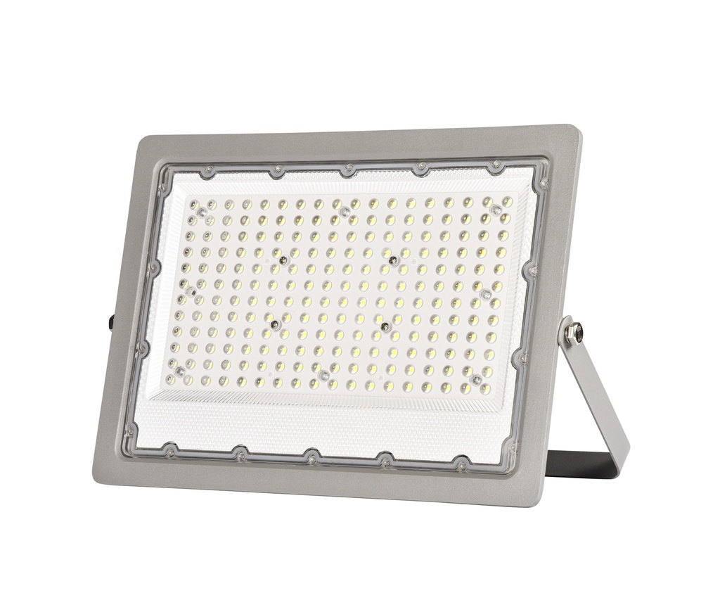 LED Floodlight Pluto