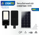 Solar LED Streetlight CHEETAH