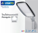 LED Streetlight Penquin