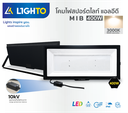 LED Floodlight MIB