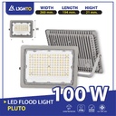 LED Floodlight Pluto